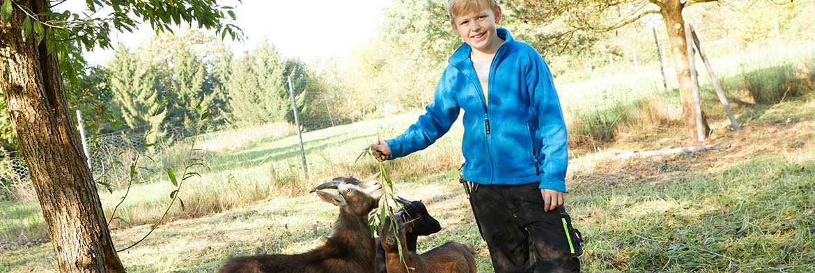 Kinder- und Jugendgruppen